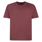 Espionage Plain Crew Neck T-Shirt