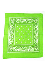 Paisley Bandana Cloth Headscarves