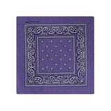 Paisley Bandana Cloth Headscarves