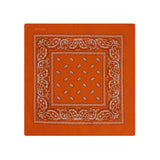 Paisley Bandana Cloth Headscarves