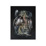 wild-black-tshirt-dragon