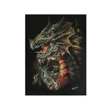 wild-dragon-zip-hoodie-HGW-0101