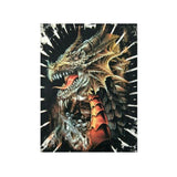 wild-tie-dye-tshirt-dragon-TDG-0069