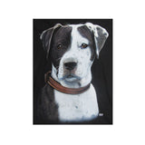 wild-tshirt-brown-white-dog