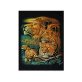 wild-tshirt-lions-W-0214