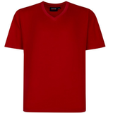 Espionage Plain V-Neck T-Shirt