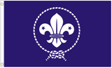 Scouts Flag