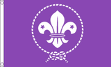 Scouts Flag
