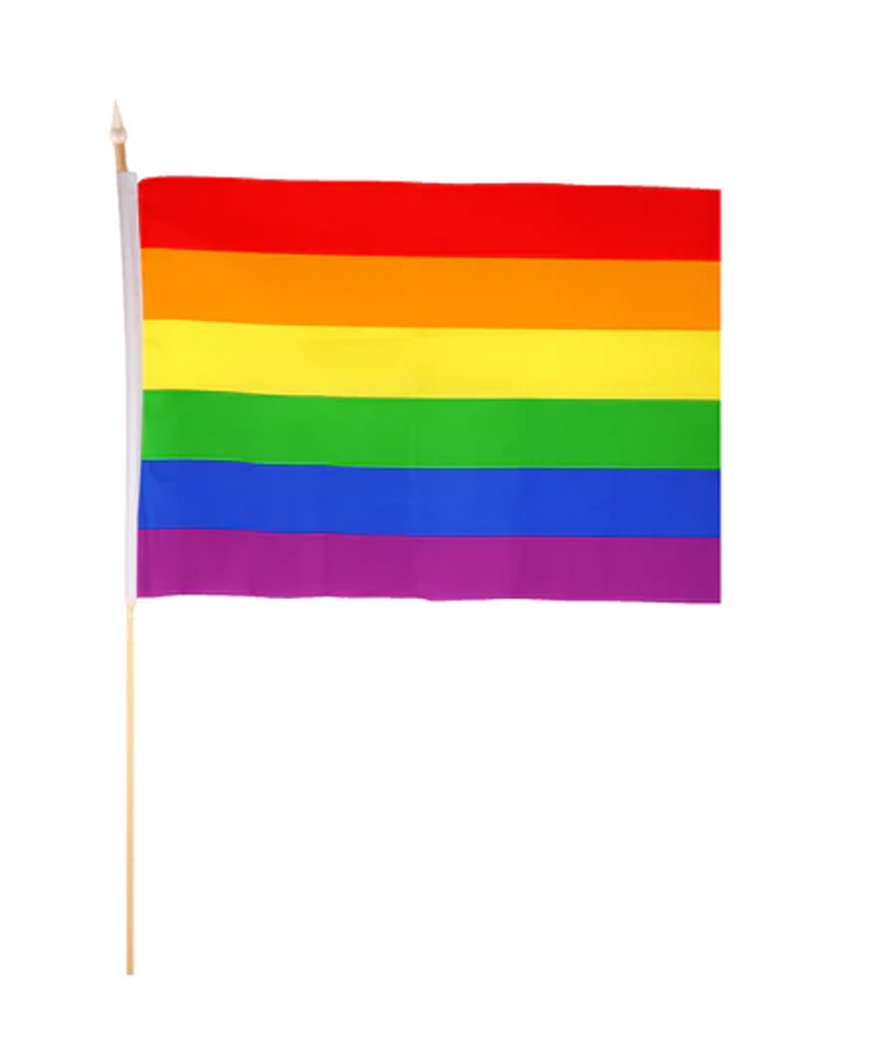 Rainbow Pride Large Hand Flag