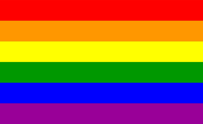 3ft x 2ft Pride Rainbow Flag