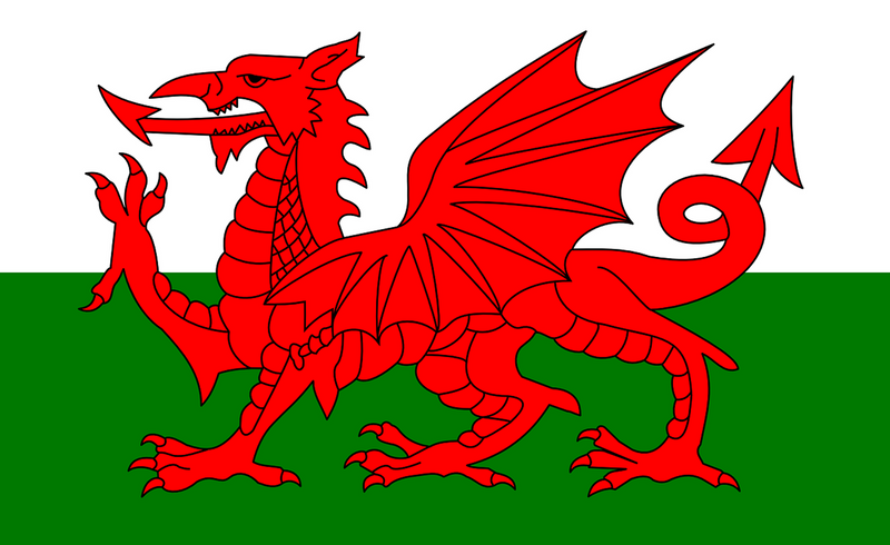 3ft x 2ft Wales Dragon Flag